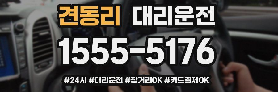 견동리 대리운전