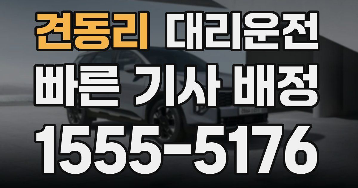 일일대리기사