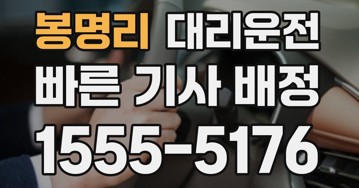 일일대리기사