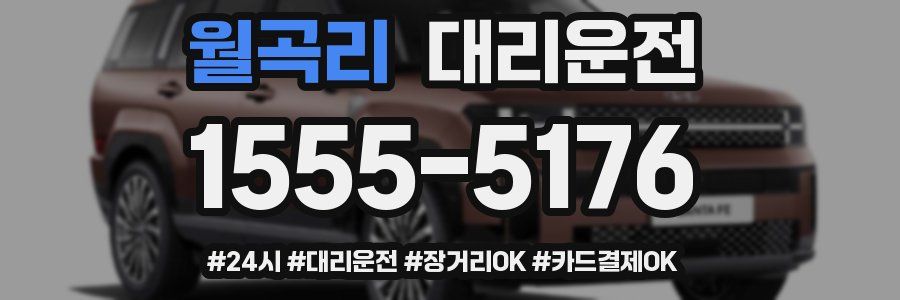 월곡리 대리운전