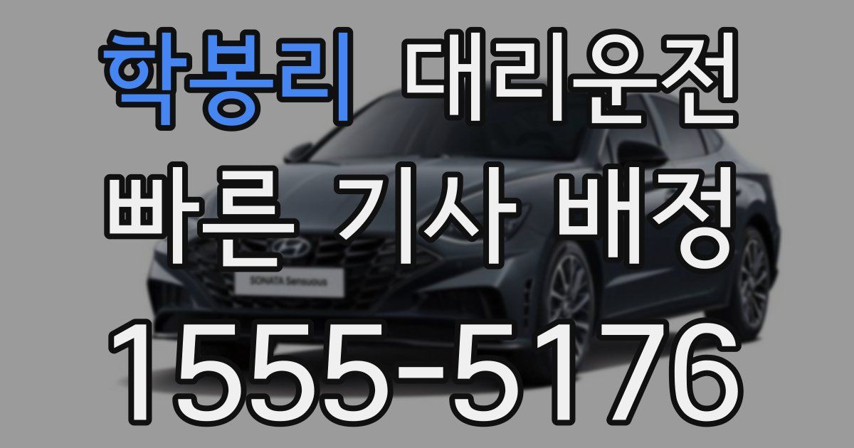 일일대리기사
