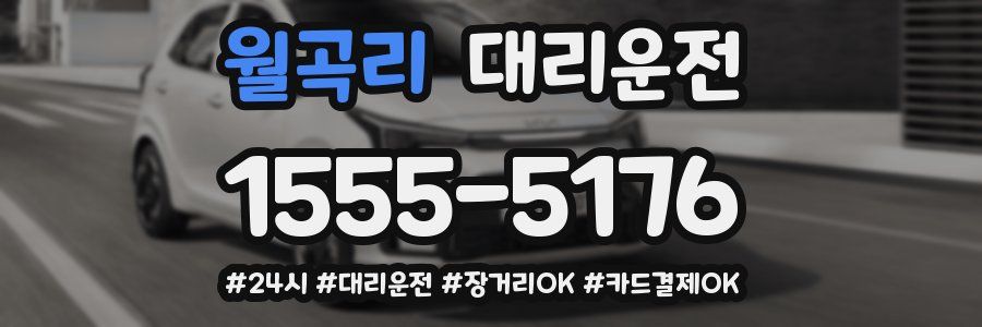 월곡리 대리운전