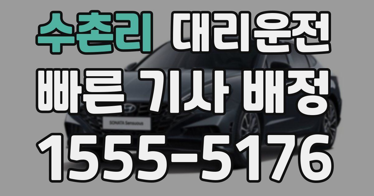 일일대리기사