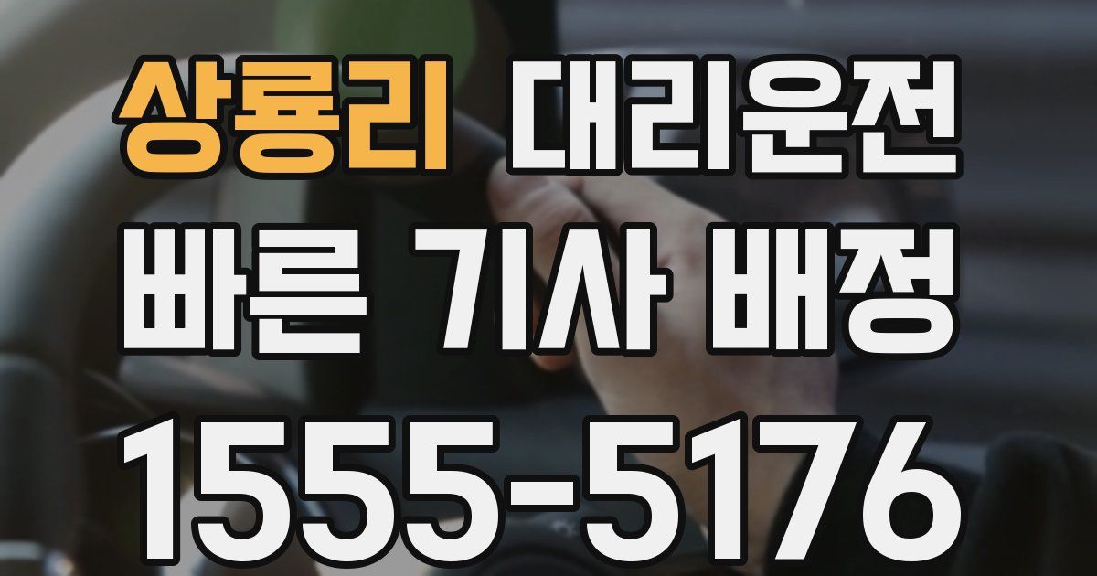 일일대리기사