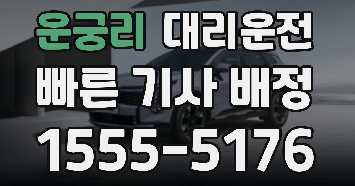 일일대리기사