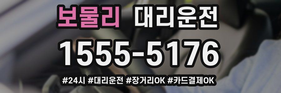보물리 대리운전