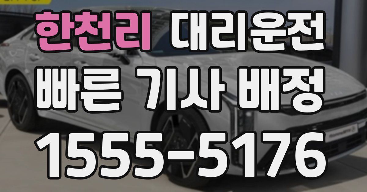 일일대리기사