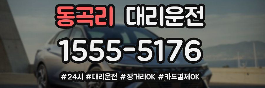 동곡리 대리운전