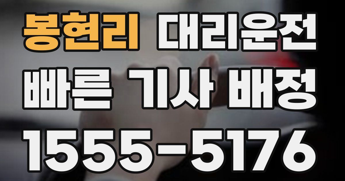 일일대리기사