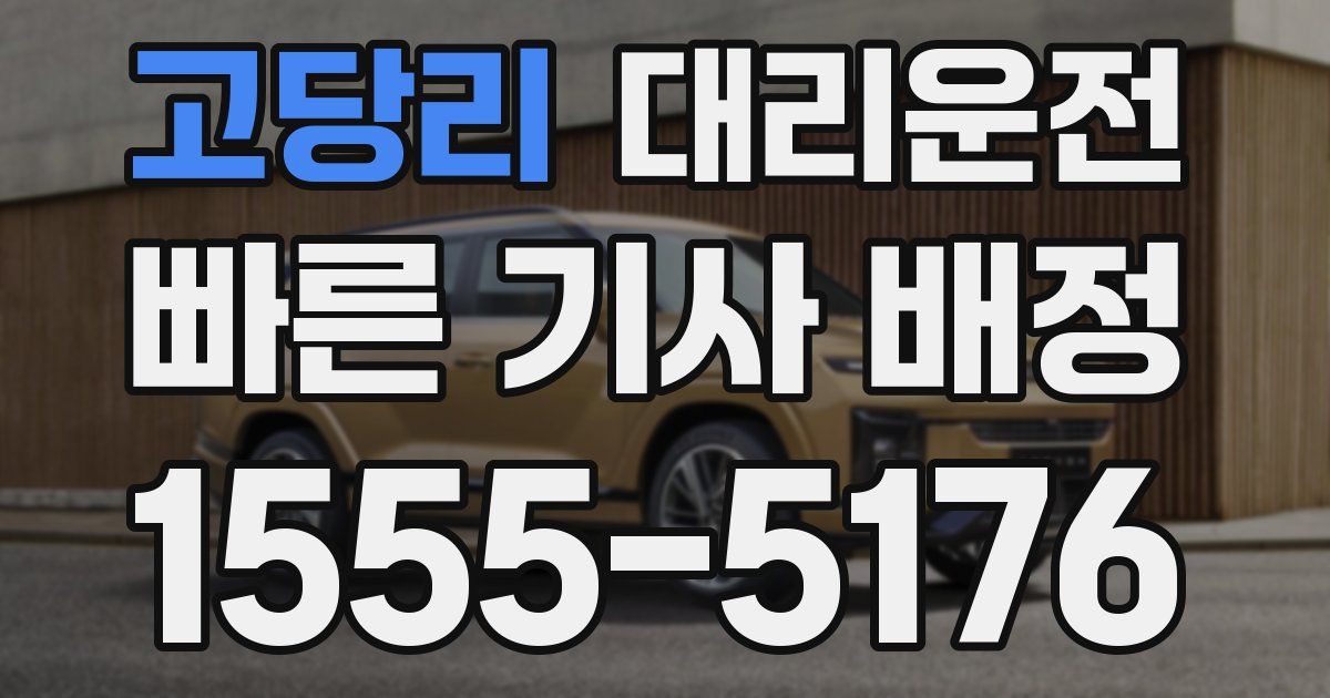 일일대리기사