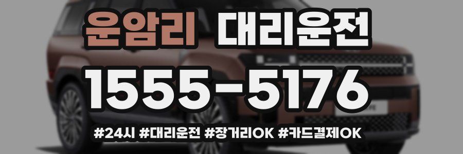 운암리 대리운전