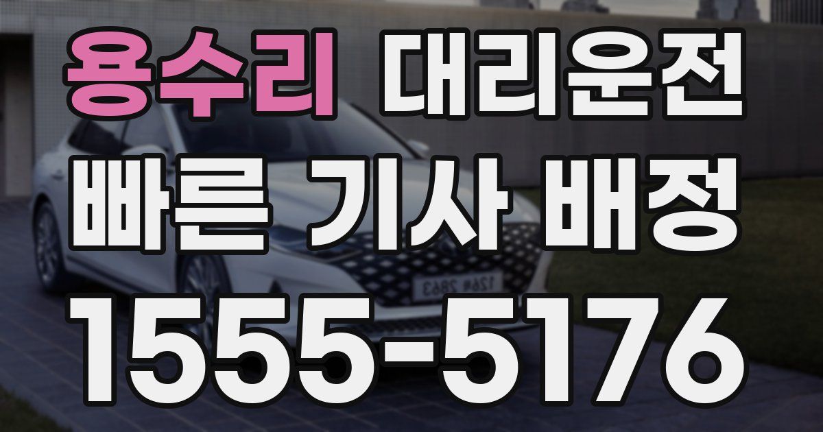 일일대리기사