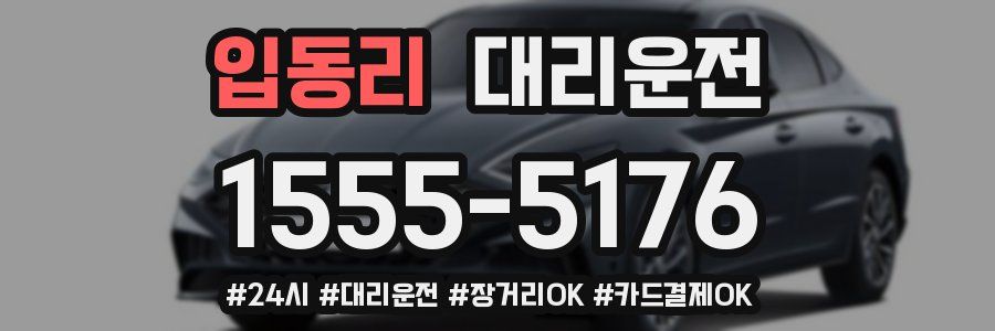 입동리 대리운전