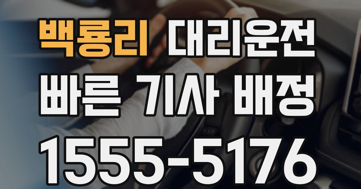 일일대리기사