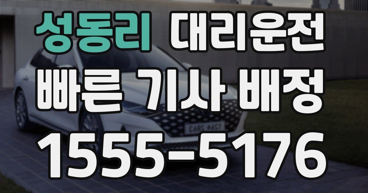 일일대리기사