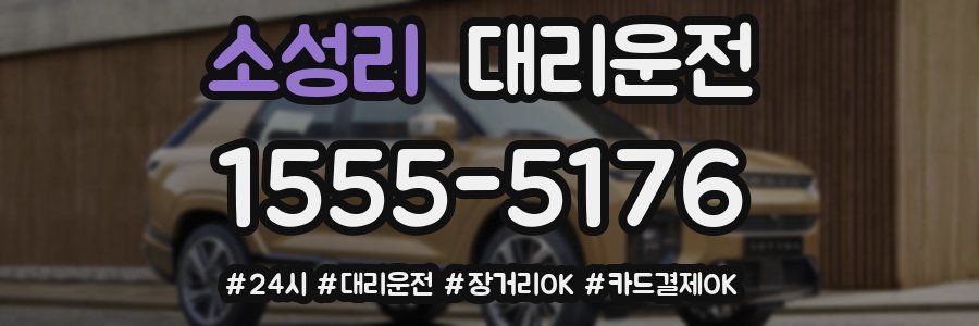 소성리 대리운전