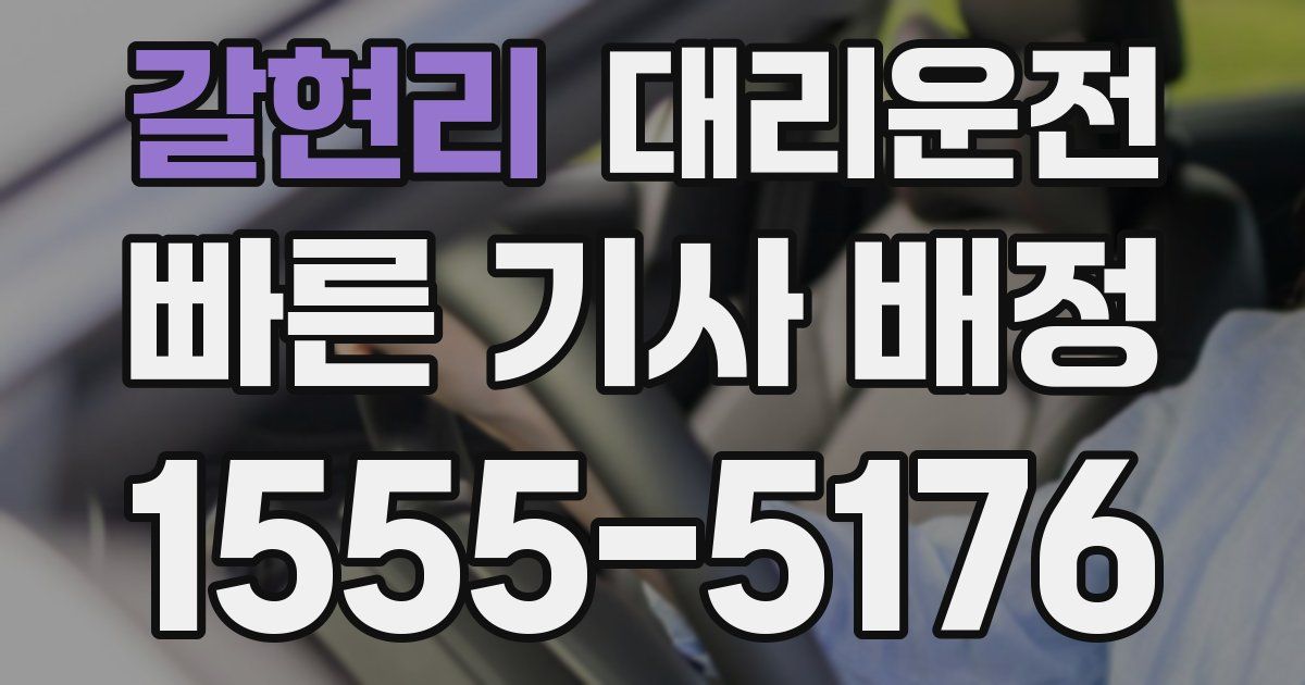 일일대리기사