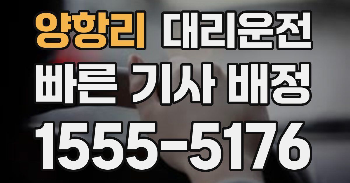 일일대리기사
