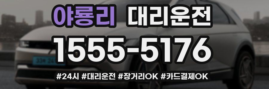 야룡리 대리운전