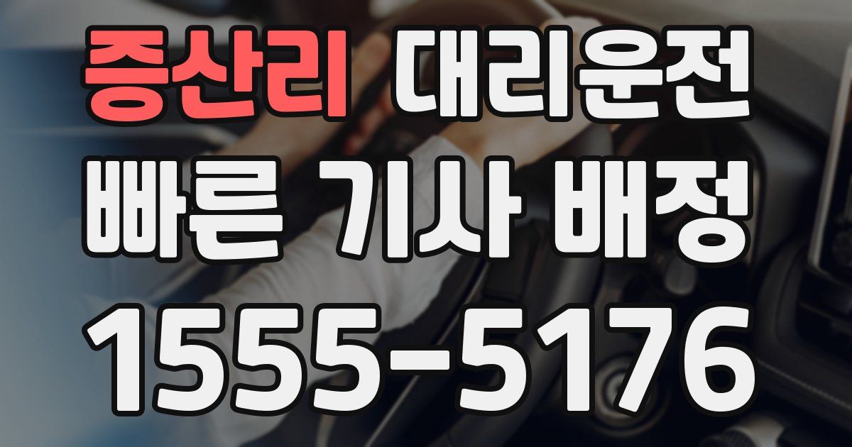 일일대리기사
