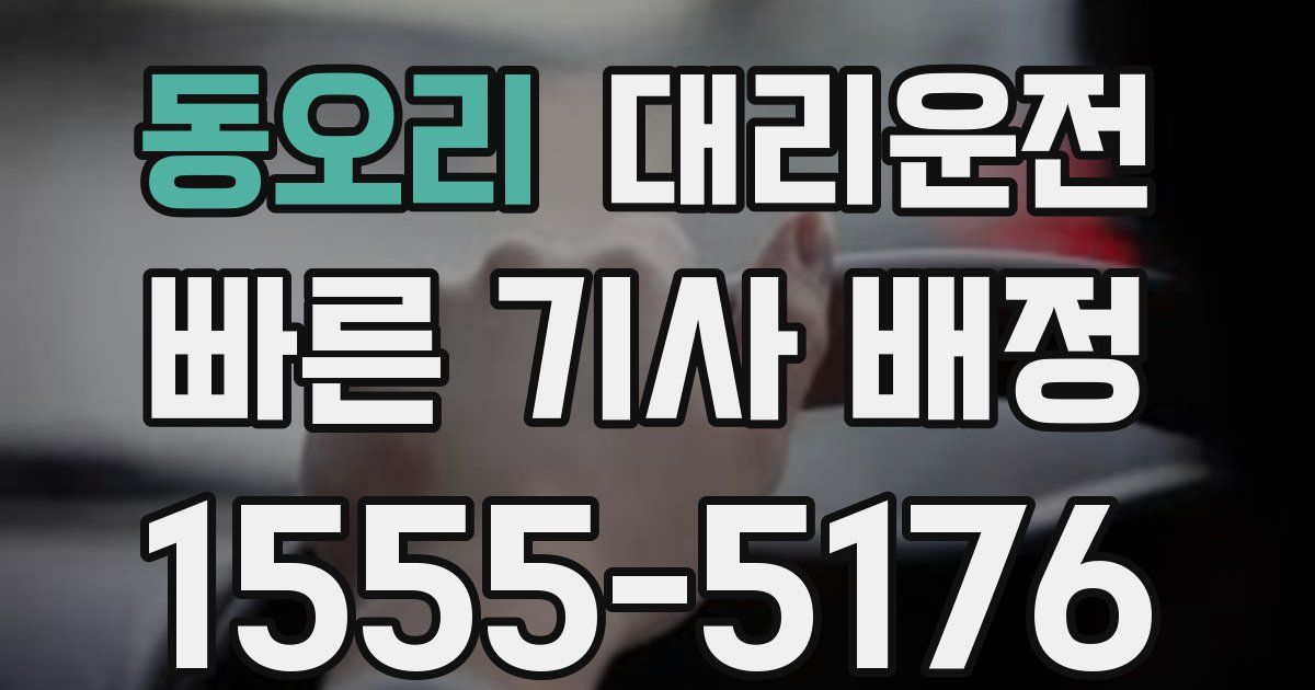 일일대리기사