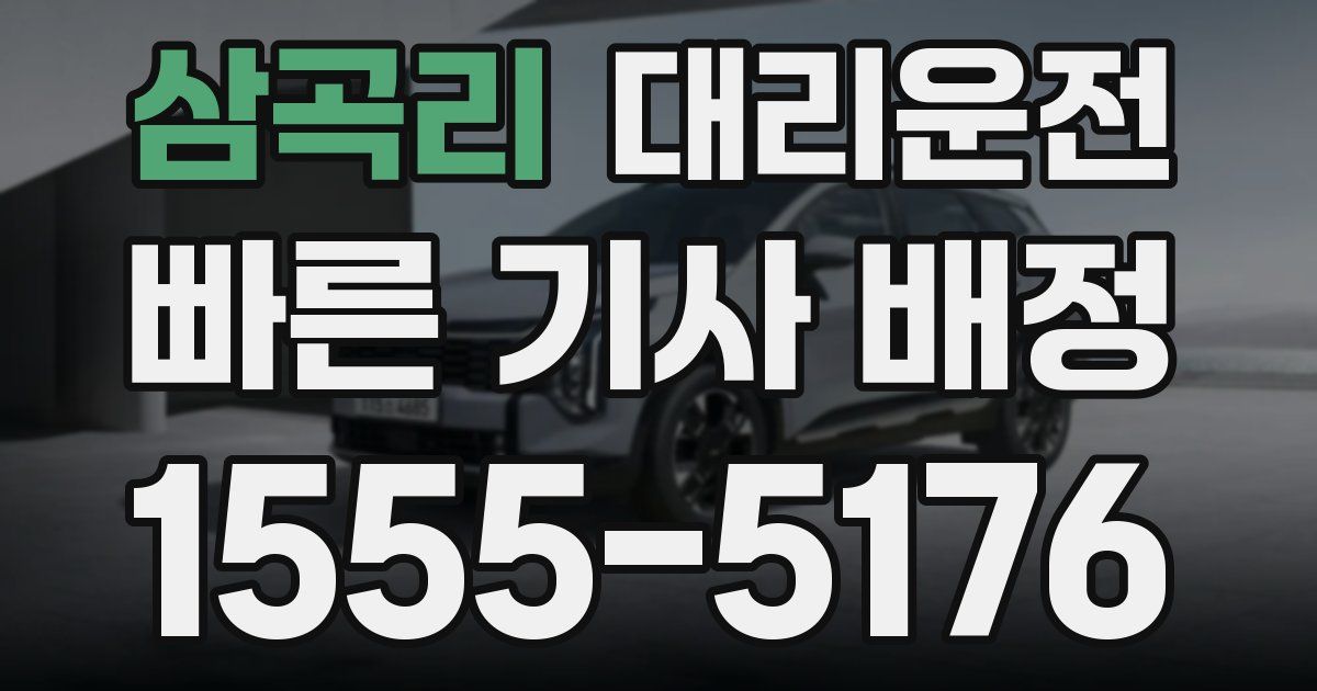 일일대리기사