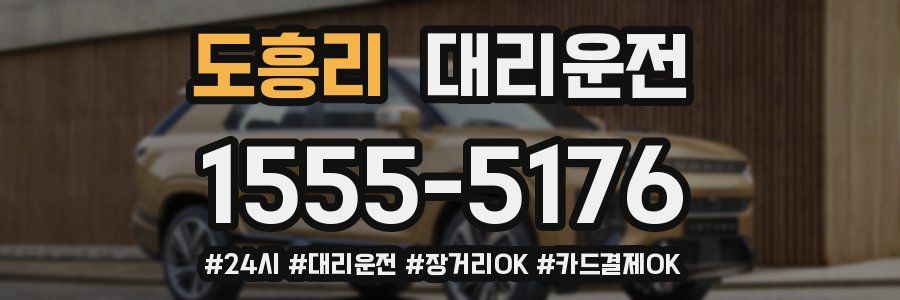 도흥리 대리운전