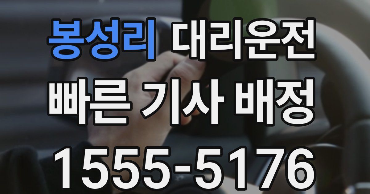 일일대리기사