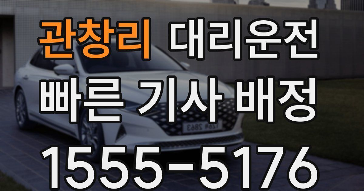 일일대리기사