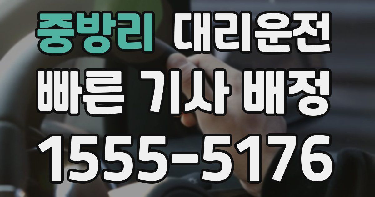 일일대리기사