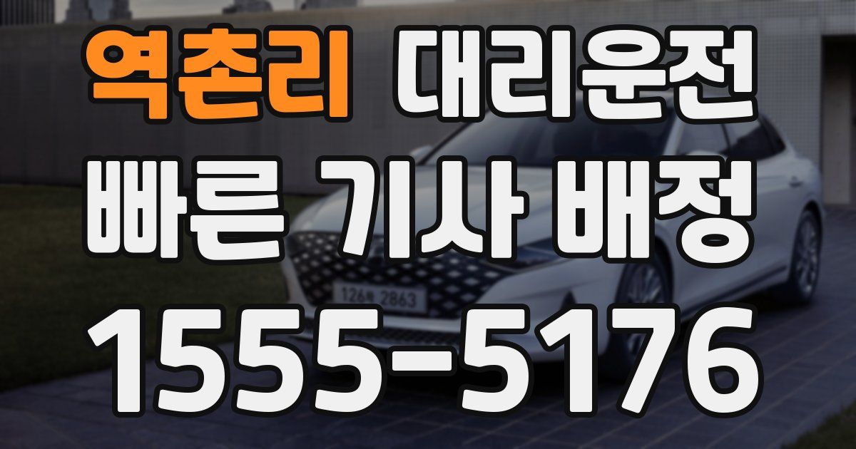 일일대리기사