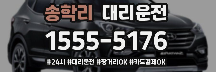 송학리 대리운전