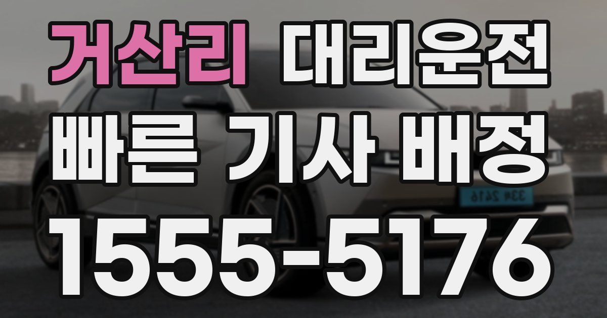 일일대리기사