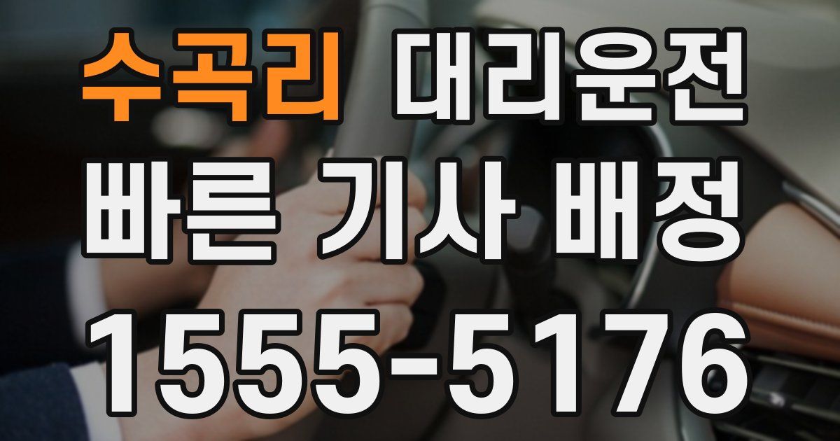 일일대리기사