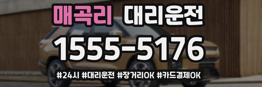 매곡리 대리운전