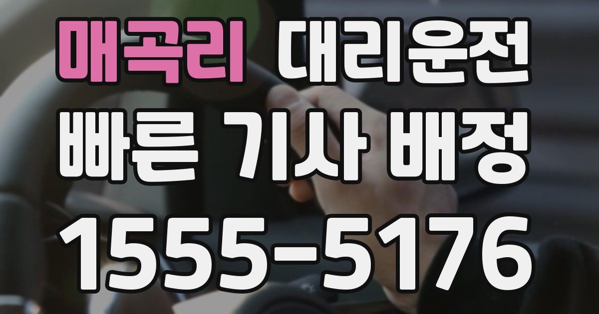 일일대리기사