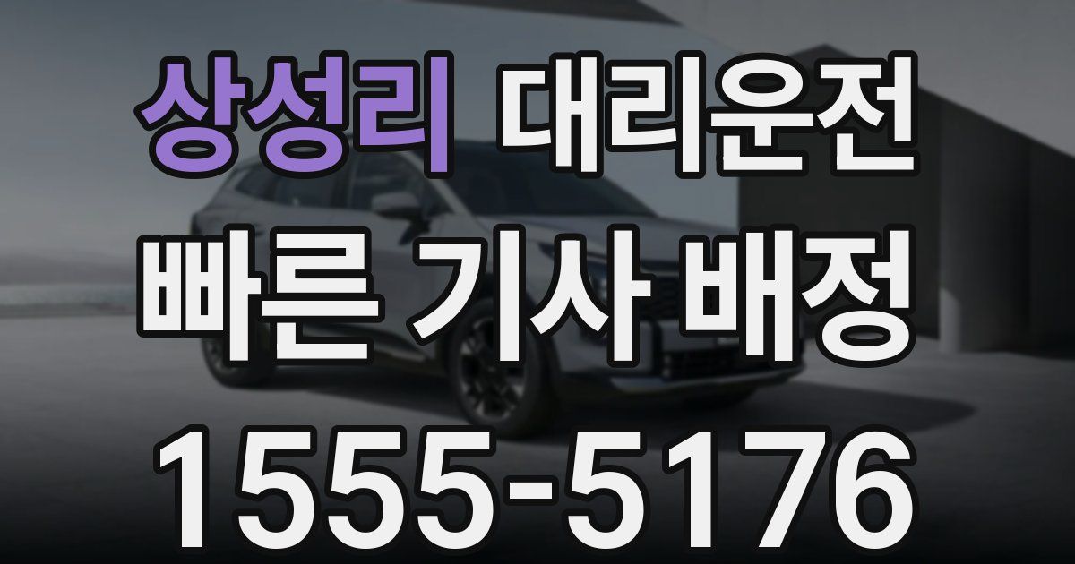 일일대리기사