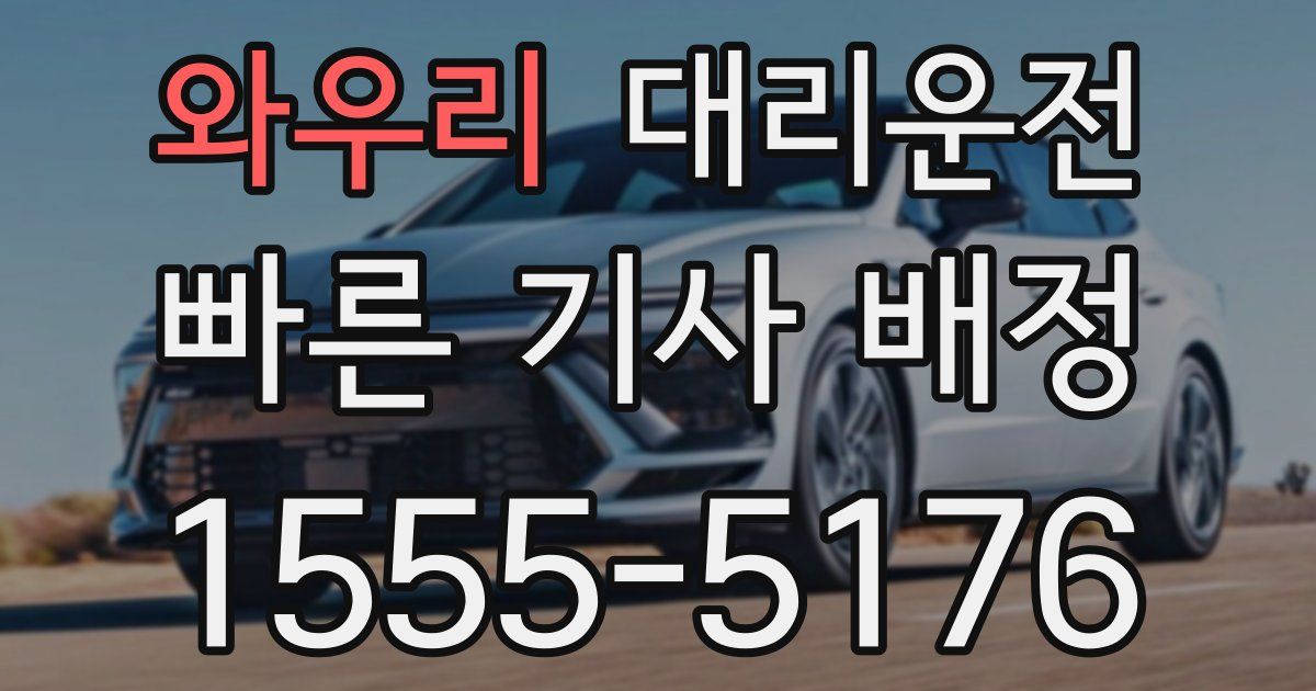 일일대리기사
