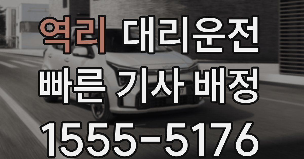일일대리기사