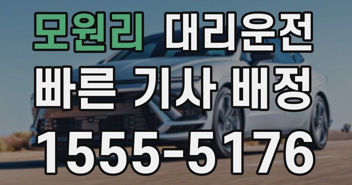 일일대리기사