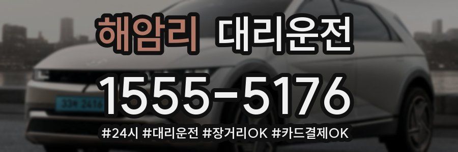해암리 대리운전