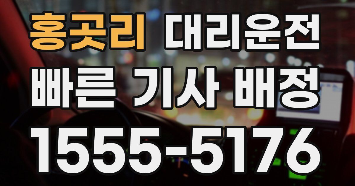 일일대리기사