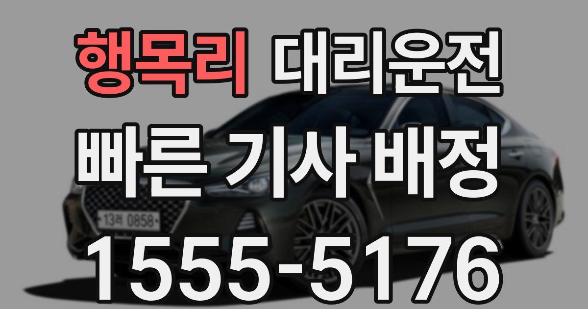 일일대리기사