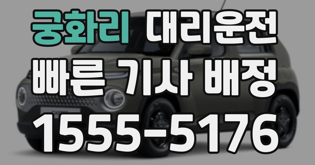 일일대리기사