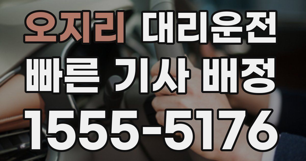 일일대리기사