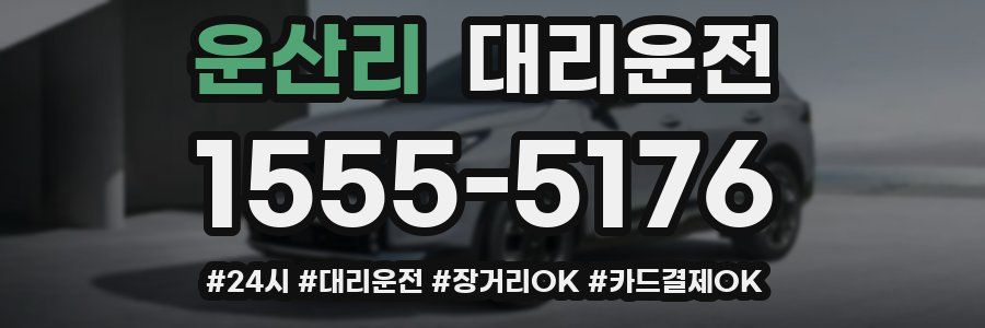 운산리 대리운전