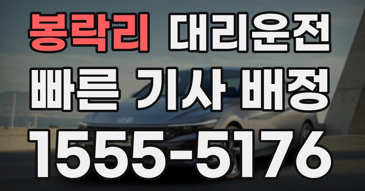 일일대리기사