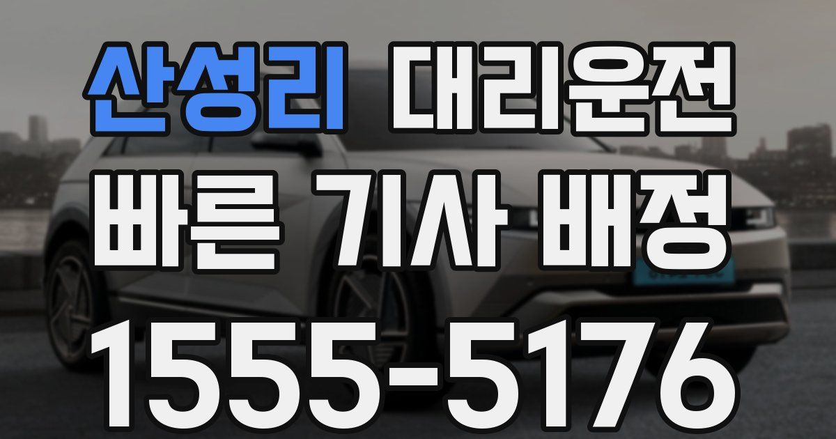 일일대리기사