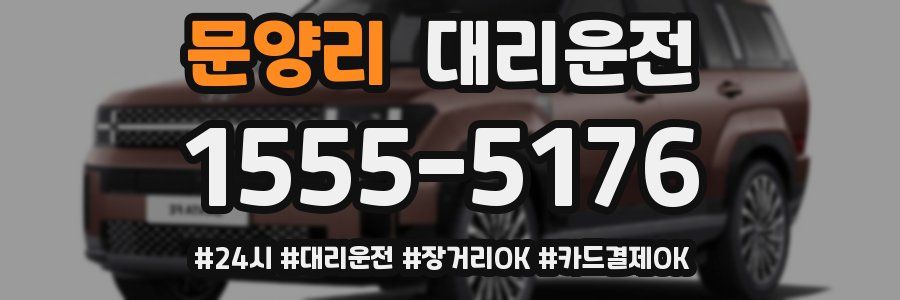 문양리 대리운전