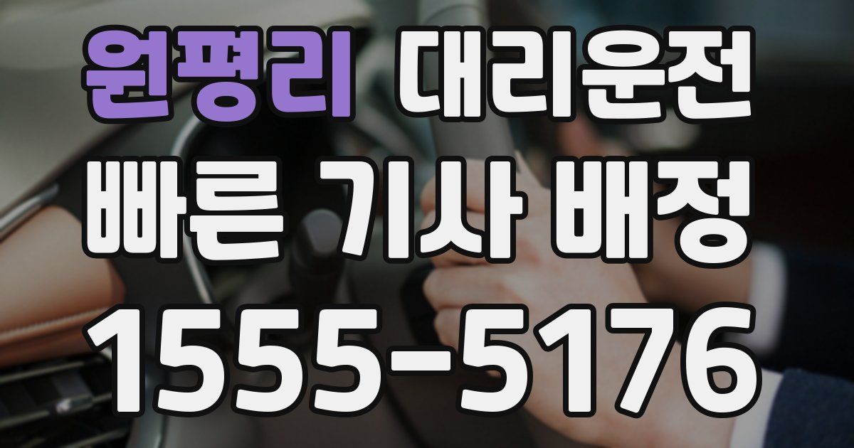 일일대리기사